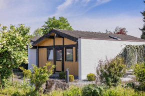 Ferienwohnpark Immenstaad am Bodensee Satteldachhaus Typ 9 SD 65